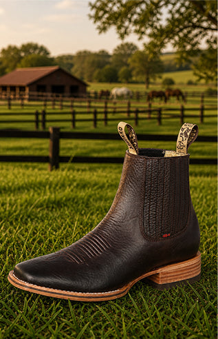 Ankle Boots